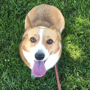 Meet your Posher, Briana